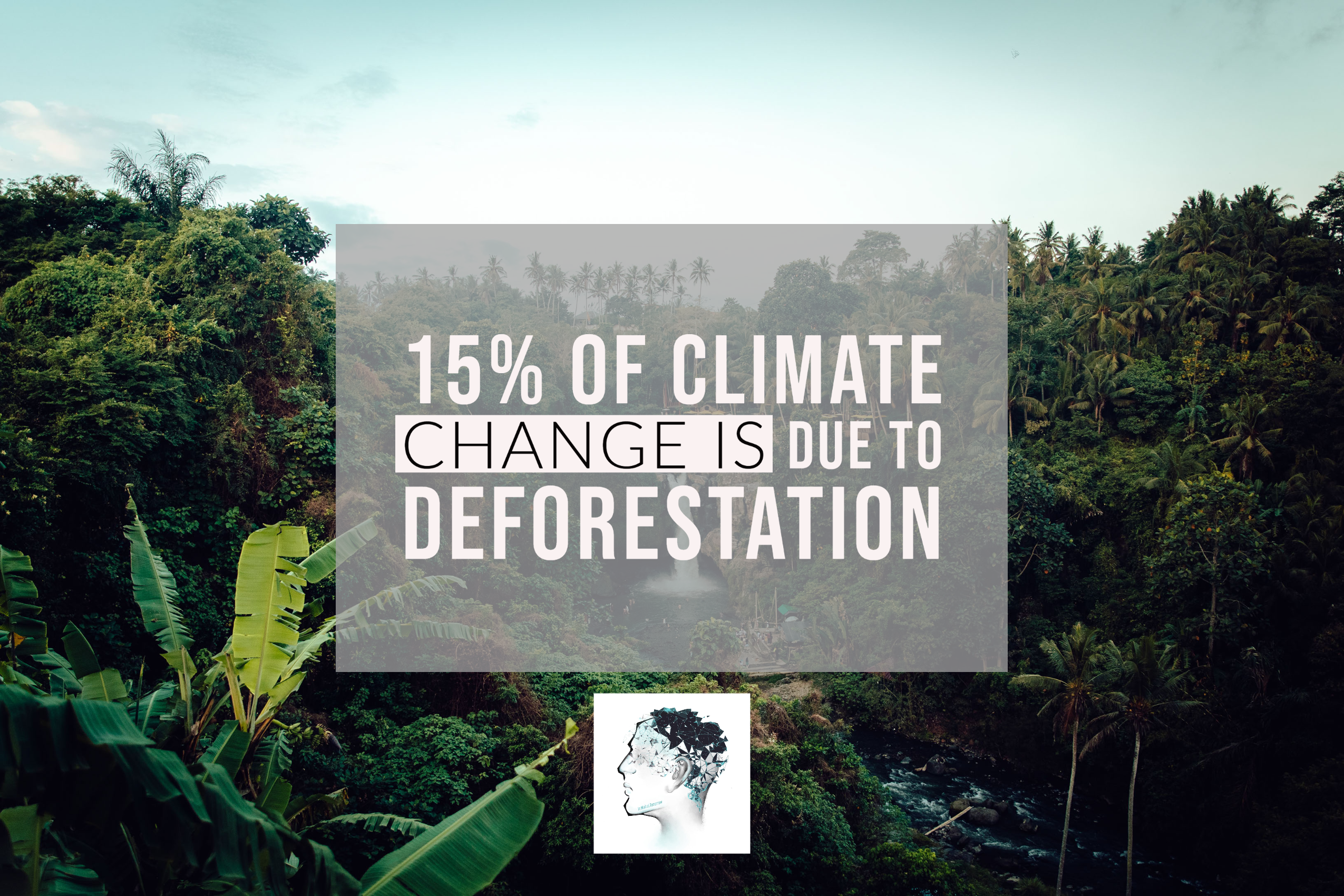 deforestation statistics